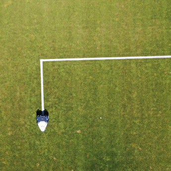 Robot in field from above